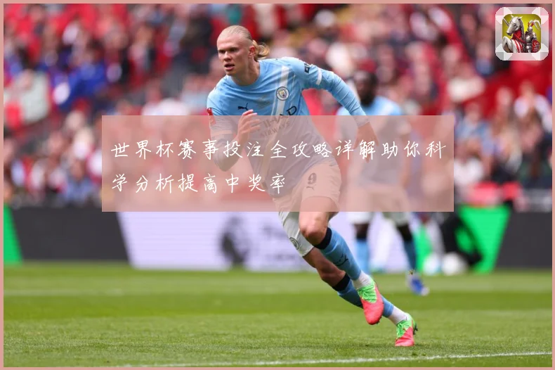 世界杯赛事投注全攻略详解助你科学分析提高中奖率